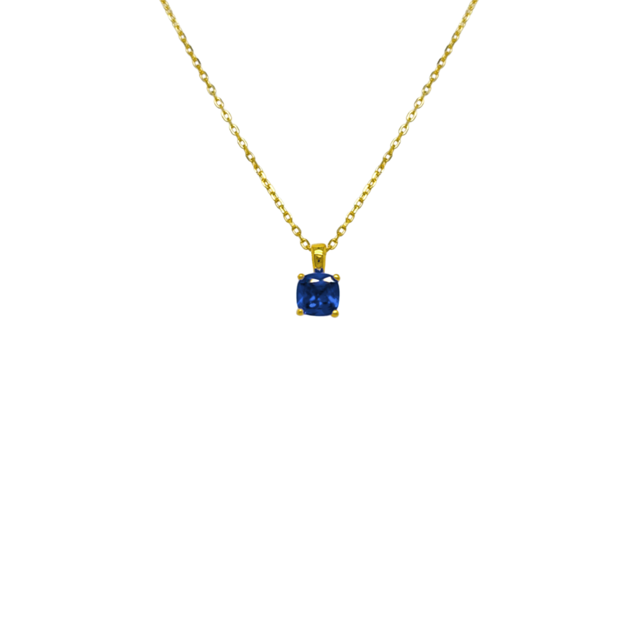 CLASS NECKLACE