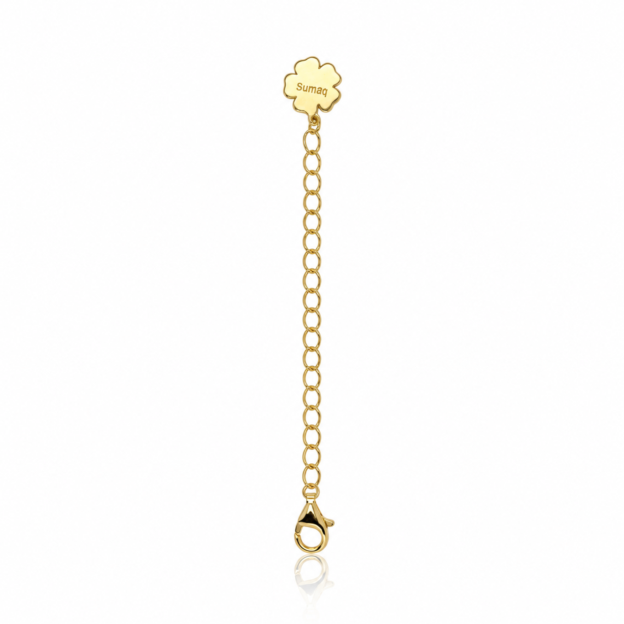 EXTENSION CHAIN