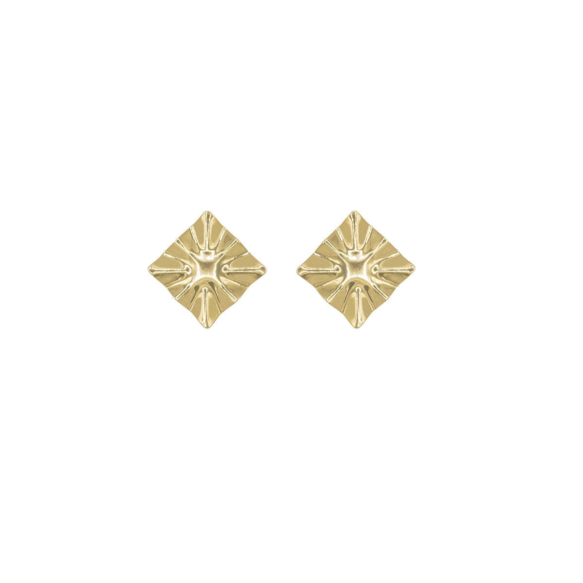 PLEG EARRINGS